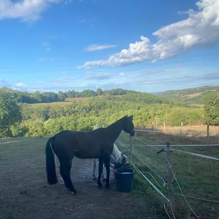 Chez Sophie - Et Equestre *